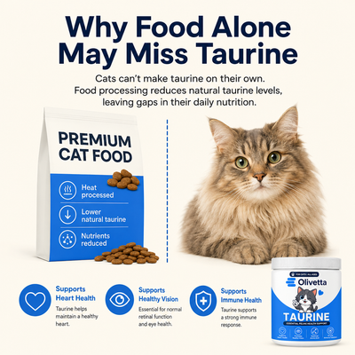 Olivetta™ Taurine Supplement