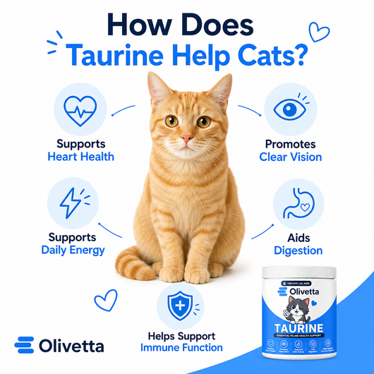 Olivetta™ Taurine Supplement