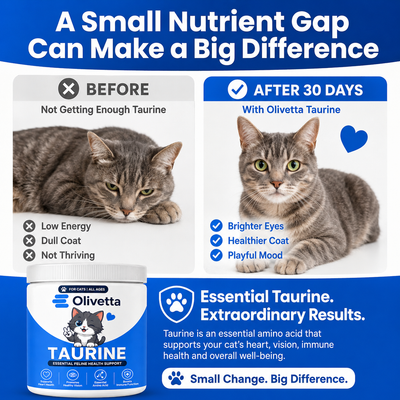 Olivetta™ Taurine Supplement