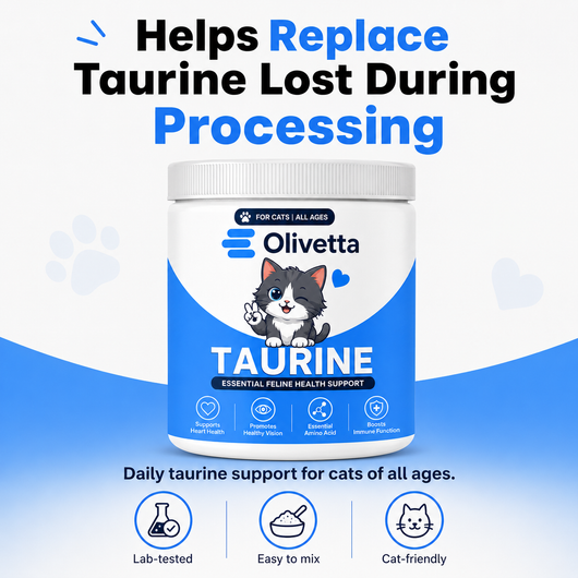 Olivetta™ Taurine Supplement